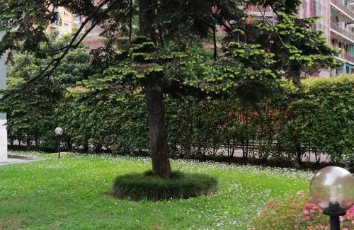 Ortica Apartment | 55 m² Apartment ∙ 1 bedroom ∙ 4 guests