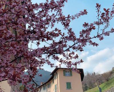 Vesio Apartment | 60 m² Apartment ∙ 2 bedrooms ∙ 6 guests
