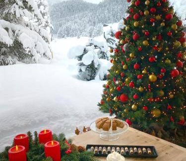 Livigno Apartment | 70 m² Serviced apartment ∙ 2 bedrooms ∙ 7 guests