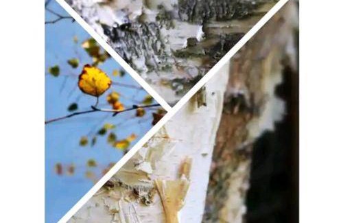 Spriana Bed & Breakfast | Bed and breakfast ∙ 2 guests