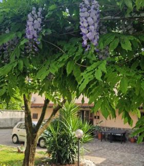 Passirano Bed & Breakfast | CORTE RITALTONI