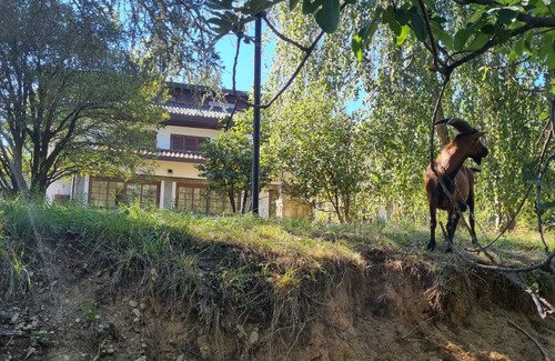 Brenta Hostel | Hostel ∙ 8 guests