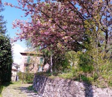 Lierna Apartment | La Cà del Menèc