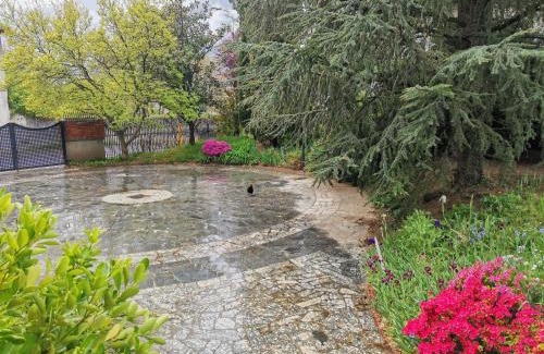 Tirano Apartment | La Casa Del Quirino