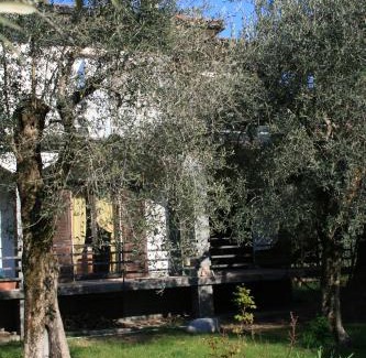 Toscolano Maderno House | La terrazza sugli ulivi