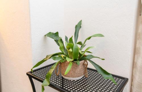 Pieve Apartment | Liver 201