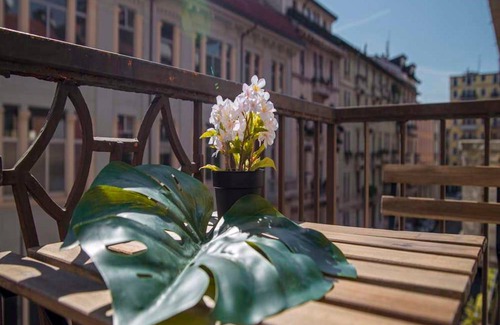 Isola Resort | Private room ∙ 1 bedroom ∙ 1 guest