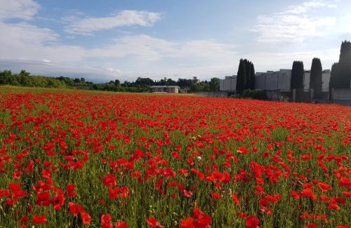 Pieve Vecchia Apartment | san felice