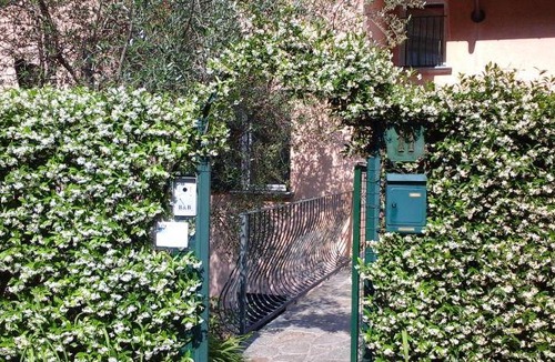 Oliveto Lario Bed & Breakfast | 14 m² Bed and breakfast ∙ 2 guests