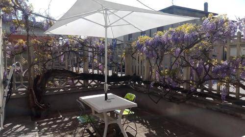 Gallarate Bed & Breakfast | 16 m² Bed and breakfast ∙ 2 guests
