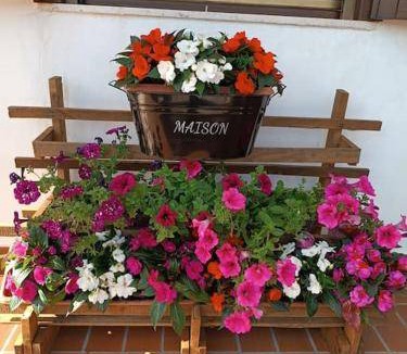 Albate Bed & Breakfast | 16 m² Bed and breakfast ∙ 4 guests