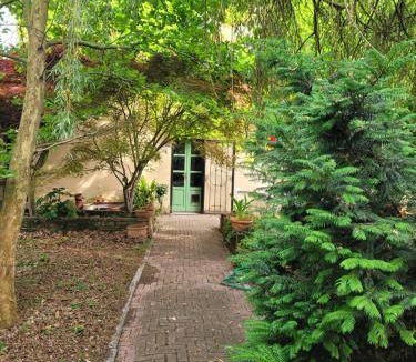 Casanova Lonati Bed & Breakfast | 20 m² Bed and breakfast ∙ 2 guests
