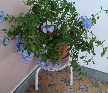 Parabiago Bed & Breakfast | 20 m² Bed and breakfast ∙ 2 guests