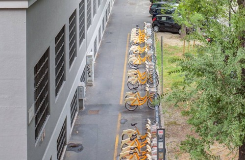 Washington Resort | 242 m² Private room ∙ 1 bedroom ∙ 1 guest