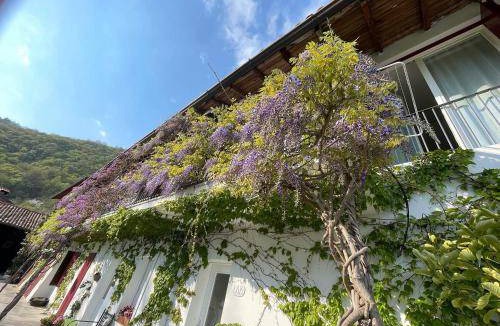 Torre Boldone Bed & Breakfast | 25 m² Bed and breakfast ∙ 2 guests