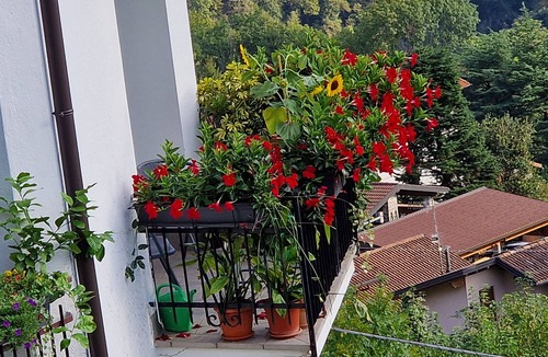 Dizzasco Apartment | 3-bedroom apartment in gorgeous Dizzasco with WiFi