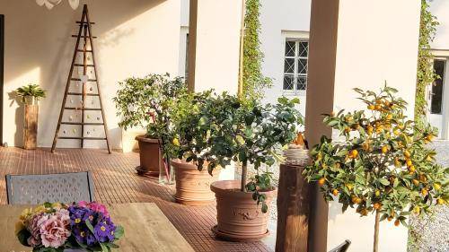 Ome Bed & Breakfast | 30 m² Bed and breakfast ∙ 4 guests