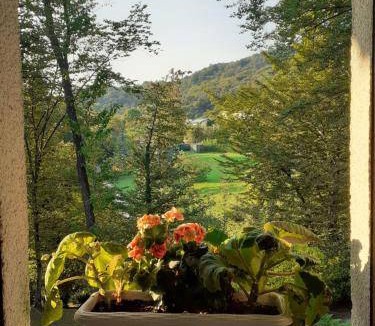 Cunardo Bed & Breakfast | 35 m² Bed and breakfast ∙ 4 guests