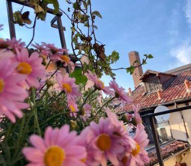 Pavia Bed & Breakfast | 35 m² Bed and breakfast ∙ 3 guests