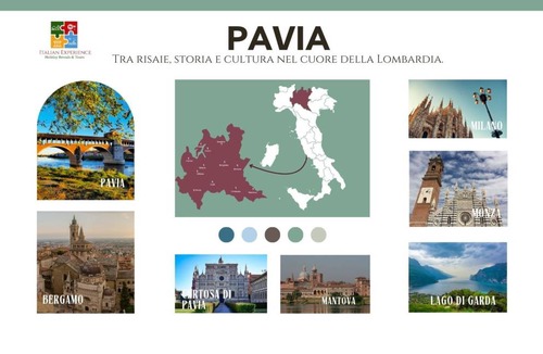 Pavia Apartment | 50 m² Apartment ∙ 1 bedroom ∙ 4 guests