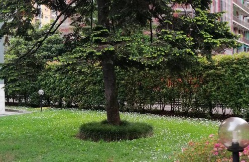 Ortica Apartment | 55 m² Apartment ∙ 1 bedroom ∙ 4 guests