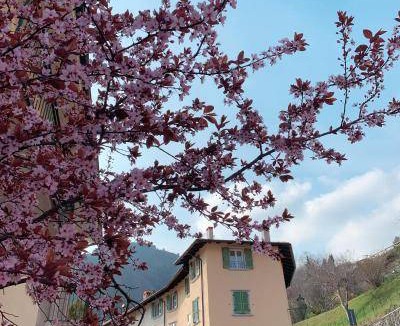Vesio Apartment | 60 m² Apartment ∙ 2 bedrooms ∙ 6 guests