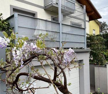 Merate Bed & Breakfast | 65 m² Bed and breakfast ∙ 2 guests