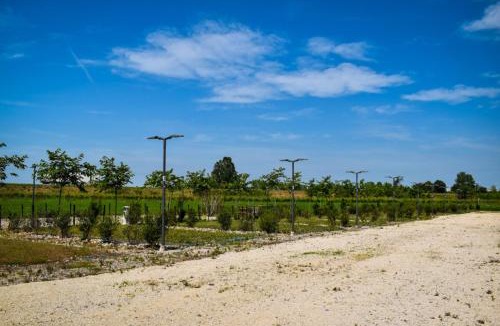 Goito Other | Agri Campeggio La Passeggiata