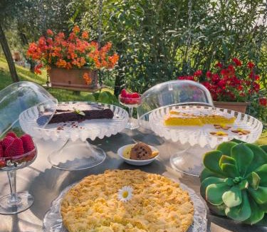 Monzambano House | agriturismo" il glicine bianco"