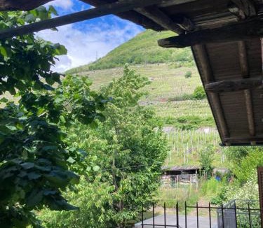 Valtellina Bed & Breakfast | Al Termen