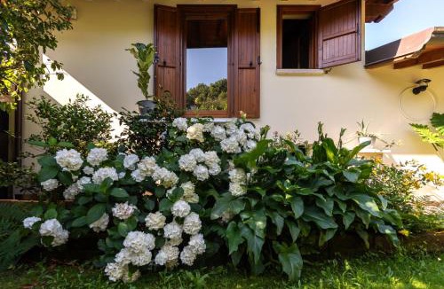 Gavardo Bed & Breakfast | Alice nel Paese delle Meraviglie