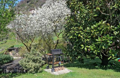 Gravedona Apartment | Apartment Bellavista - GRV240 by Interhome