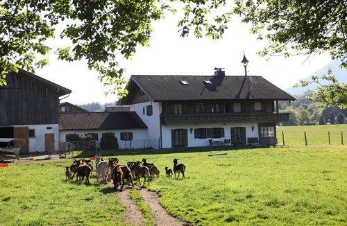 Weissbach Apartment | Apartment for 1-3 persons, balcony, view of the mountains