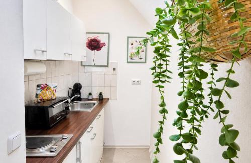Mutterstadt Apartment | Appartment Mutterstadt Oase - MIS