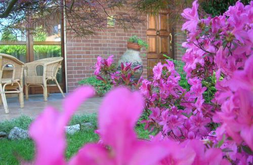 Moncalieri Bed & Breakfast | B&B Anna
