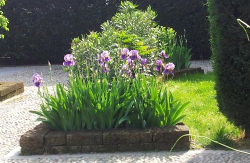 Castello d'Agogna Bed & Breakfast | B&B Il Pioppo E La Fonte