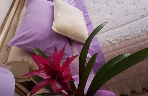 Dalmine Bed & Breakfast | B&B La Delice