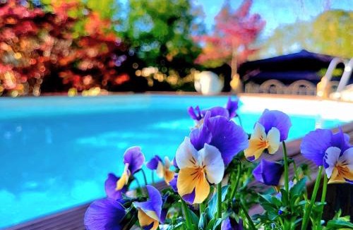 Taino House | B&B Relais Cascina al Campaccio