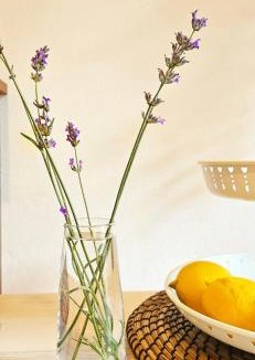 San Pellegrino Terme Apartment | Baciati dal Sole-Self check-in