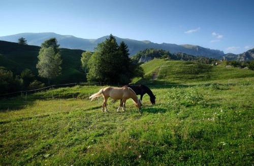 Castione della Presolana Bed & Breakfast | BeB CasaCuore Presolana