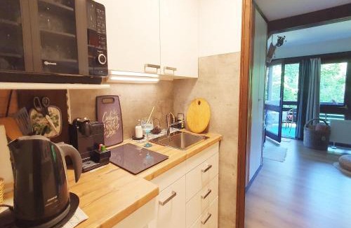 Feichten Apartment | Begonie
