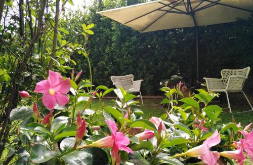 Picedo Bed & Breakfast | Bio B&B Vivere la Vita
