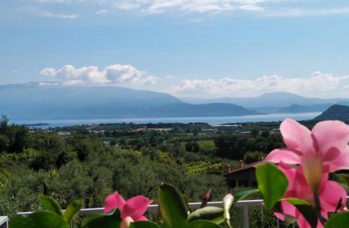Picedo Bed & Breakfast | Bio B&B Vivere la Vita