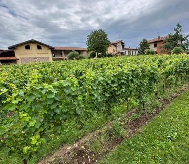 Erbusco Apartment | Borgo nel Vigneto