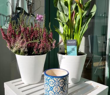 Laveno Apartment | BrixHome