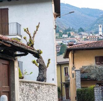 Como Apartment | Cadepulan - Lake Como Residence