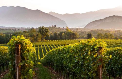 Ome Apartment | CalYpso 1 - Franciacorta Love