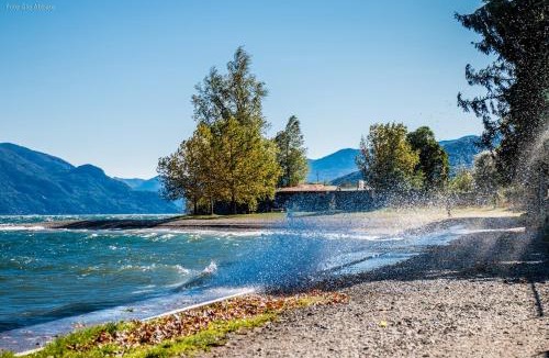 Dongo Other | CAMPING LA BREVA