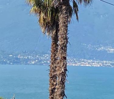 Pino Lago Maggiore House | Casa Calma