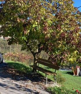 Gorno House | Cascina Ürtigher